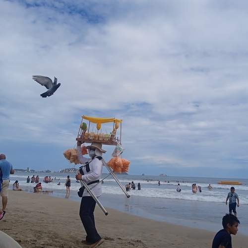 Photo #10224879