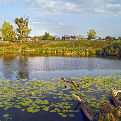 Photo #10225154