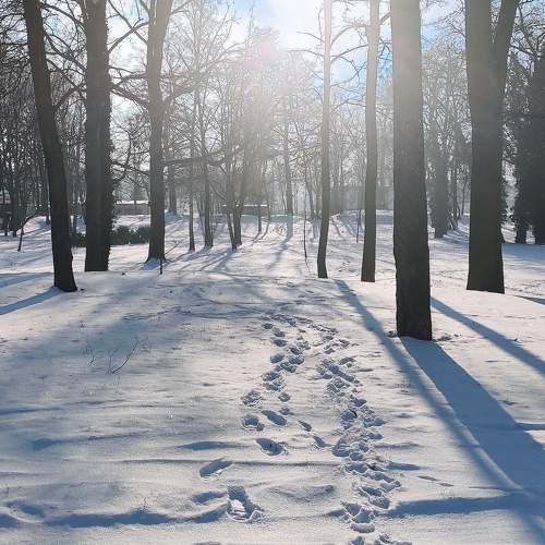 Photo #10225373