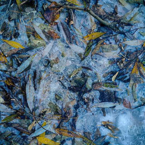 Texture of late automn