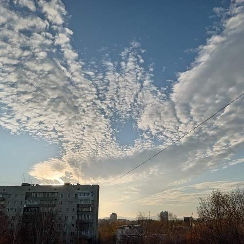 Photo #10226331