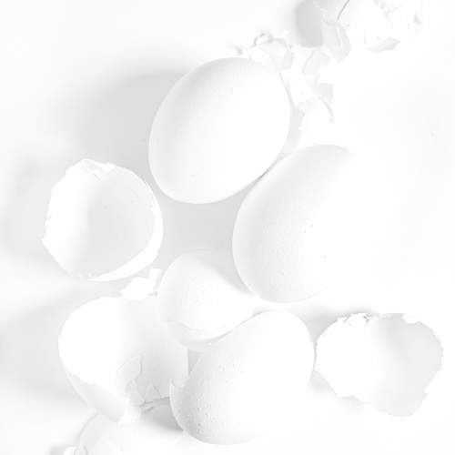 Photo #10226402