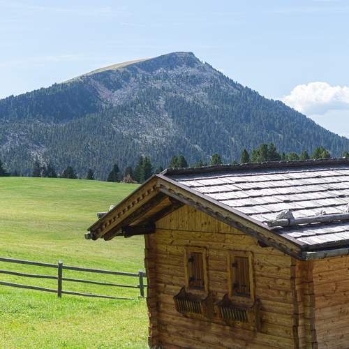 Photo #10226652