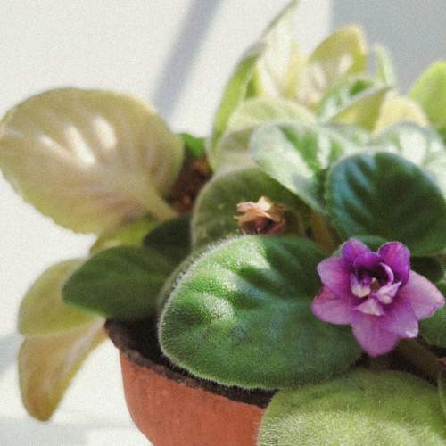 Photo #10226731