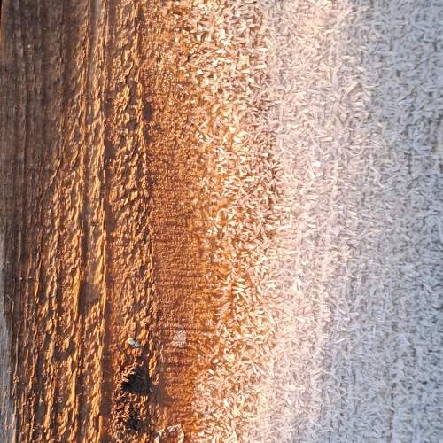 Photo #10226858