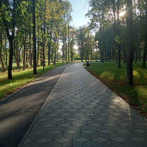 Photo #10226893