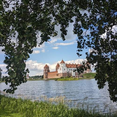 Photo #10226953