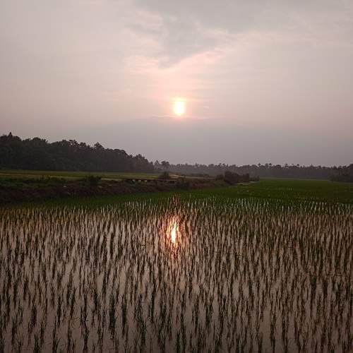 Photo #10227716