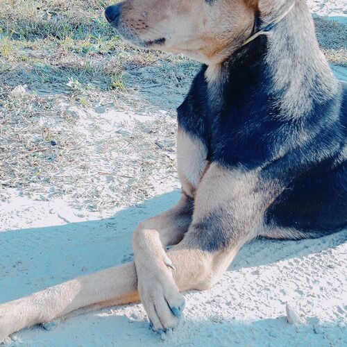 Photo #10228146