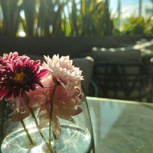 Photo #10228202