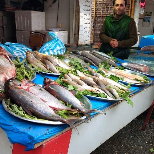 Photo #10228203