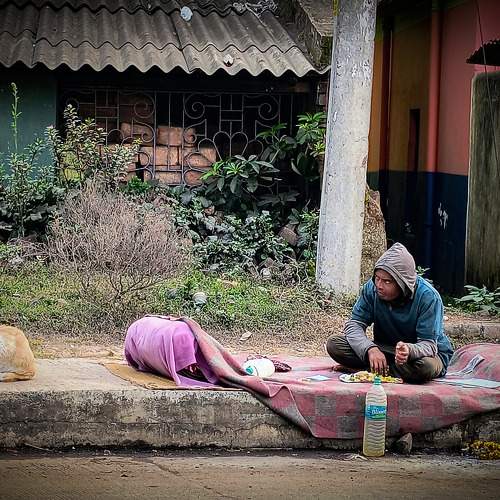 Photo #10228249