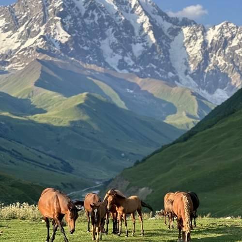 гора Шхара, Сванетия