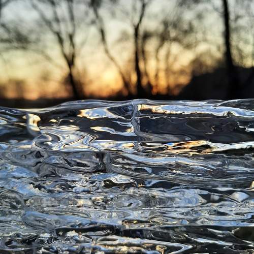 Photo #10229237