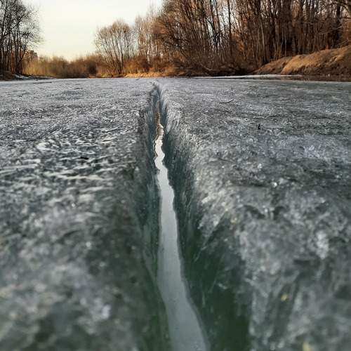 Photo #10229299
