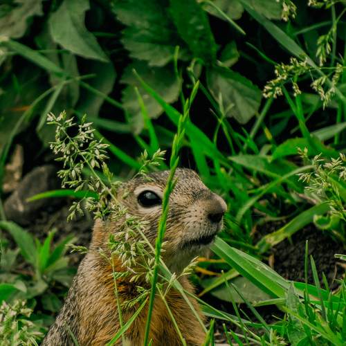 Photo #10229672