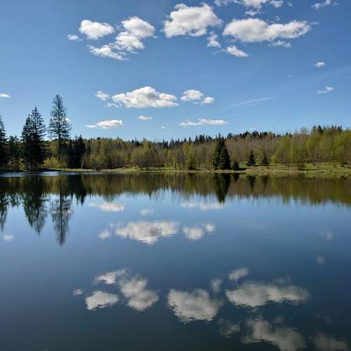 Photo #10230084