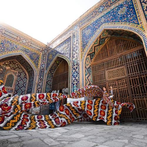 Photo #10230211