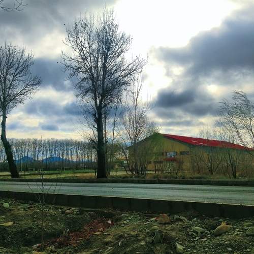 Photo #10230271