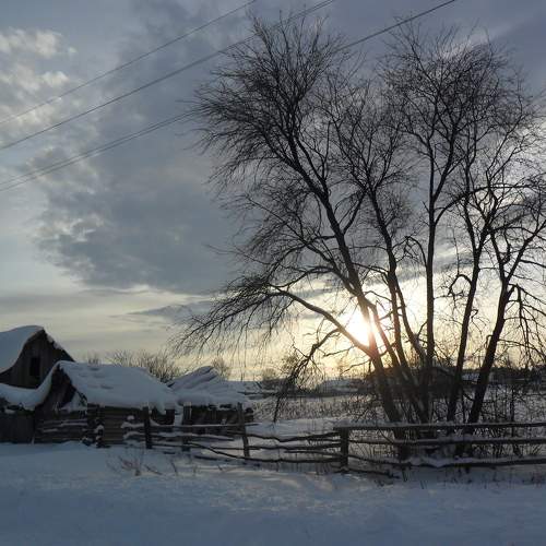 Photo #10230890