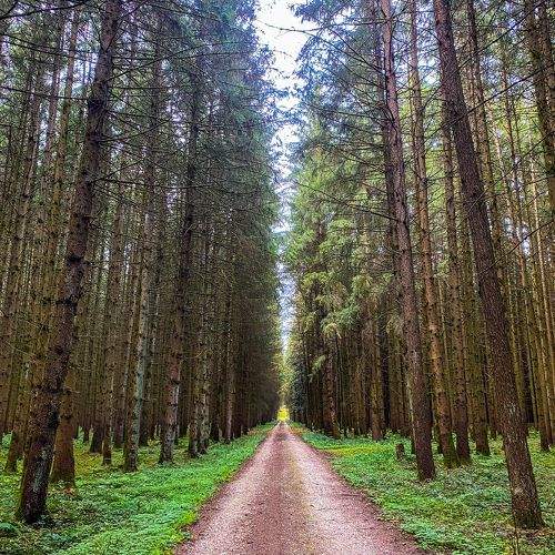 Photo #10231647