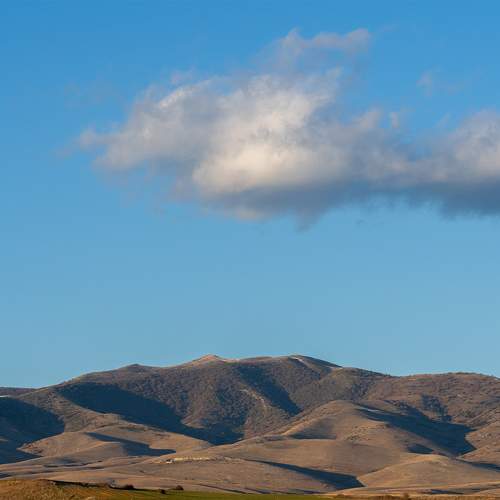 Photo #10232204
