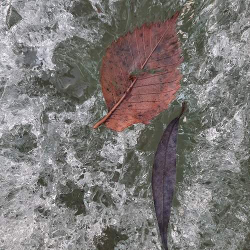 Photo #10232691