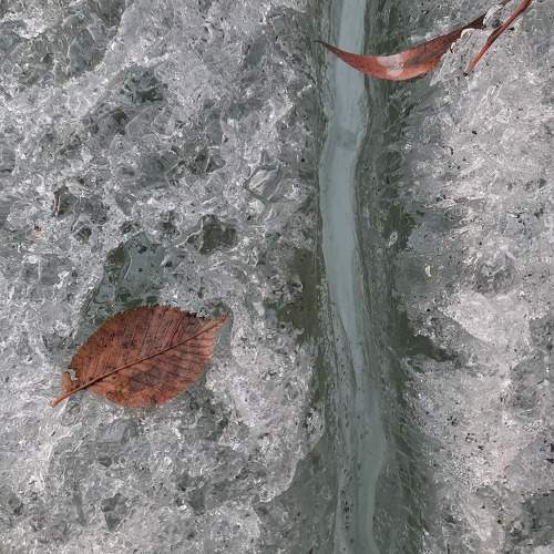 Photo #10232692