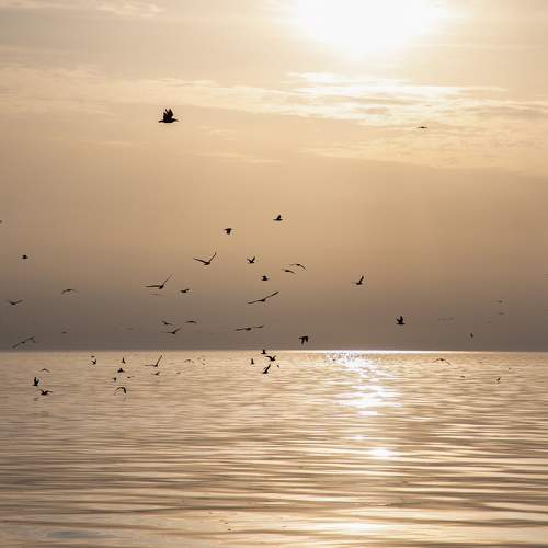 Photo #10232824