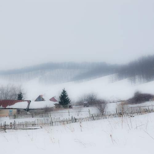 Photo #10232946