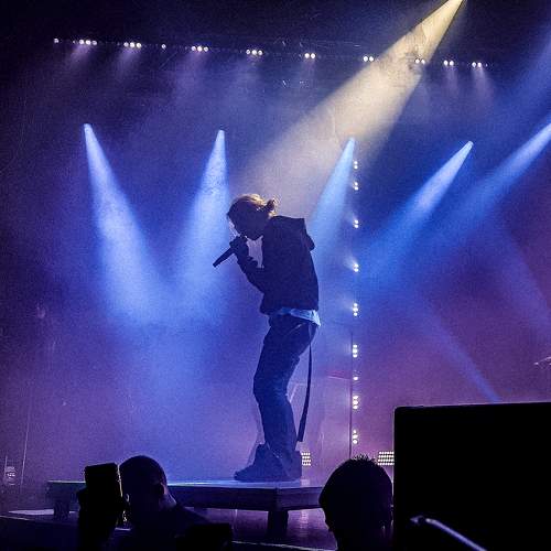 Photo #10232982