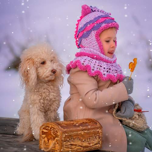 Photo #10233284