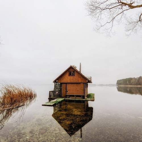 Photo #10233452