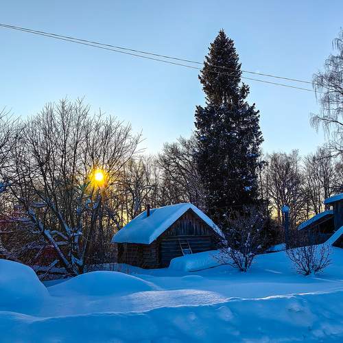 Photo #10233656