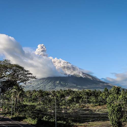 Photo #10233916