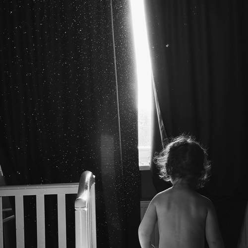 Photo #10233982