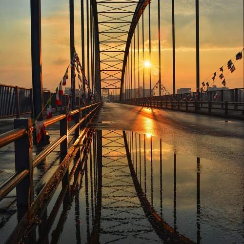 Photo #10234062