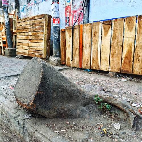 Photo #10234068