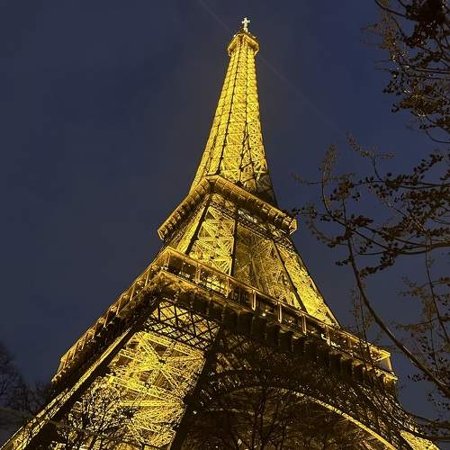 Photo #10234255