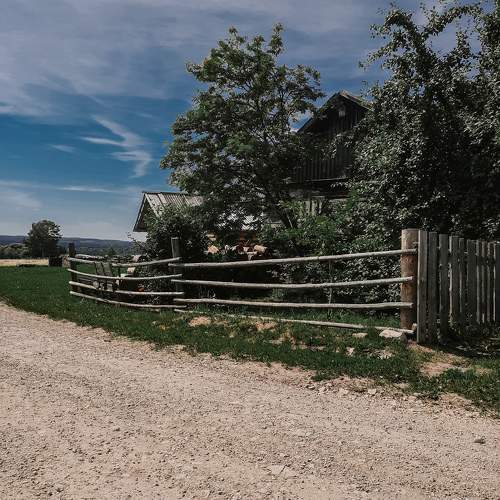 Photo #10234424