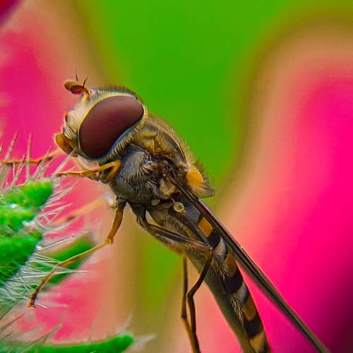 Photo #10234570
