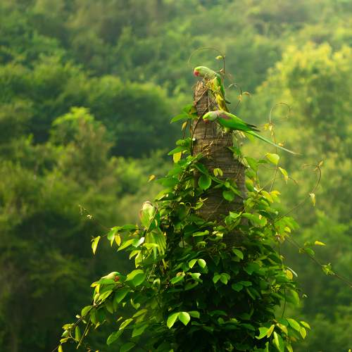 Photo #10235020