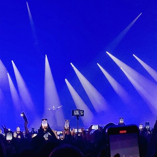 Photo #10235046