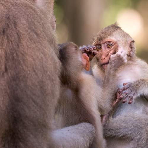 Photo #10235904
