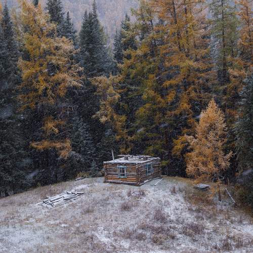 Photo #10236654