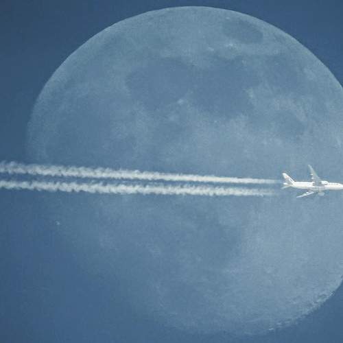 Photo #10236863