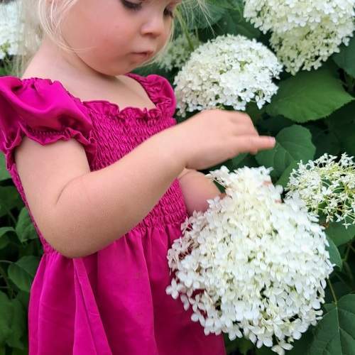 Photo #10237134