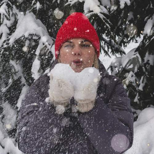 Photo #10237634