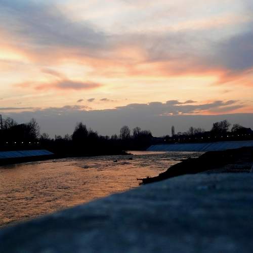 Photo #10238154