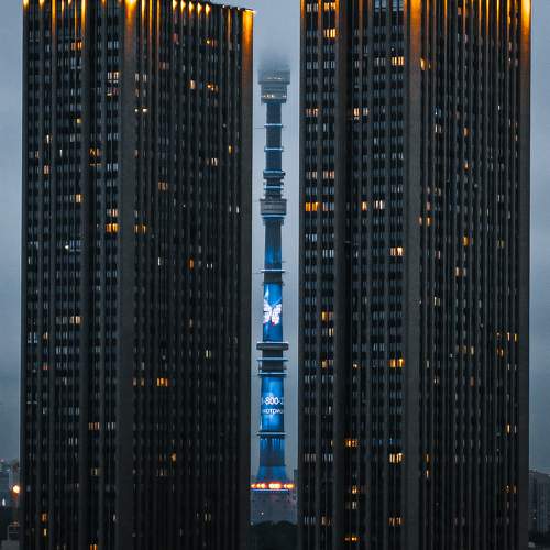 Photo #10238184